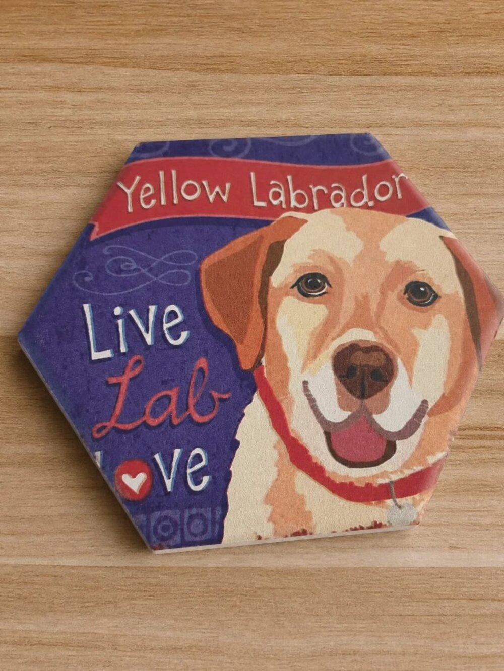 Yellow Labrador Coaster